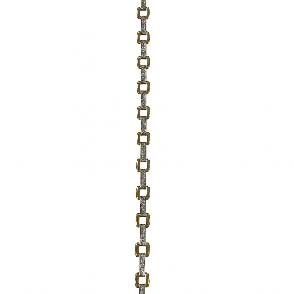 Metal chain with a clasp we buy gold